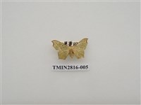 藏品(尺蛾446)的圖片